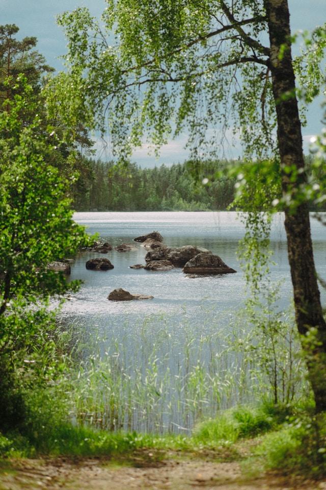 Lake near Dalarna, early summer